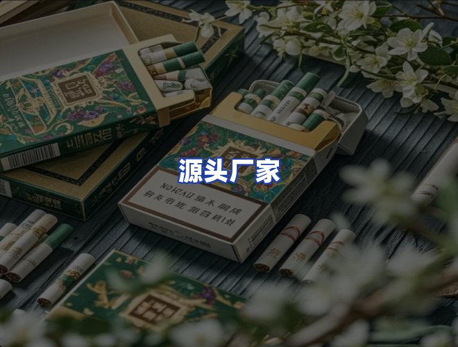 专业团队